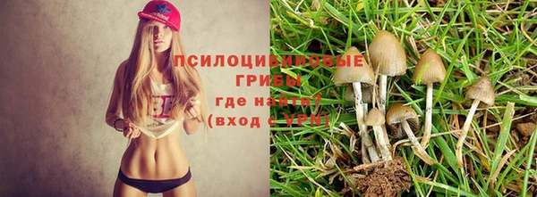 наркотики Баксан