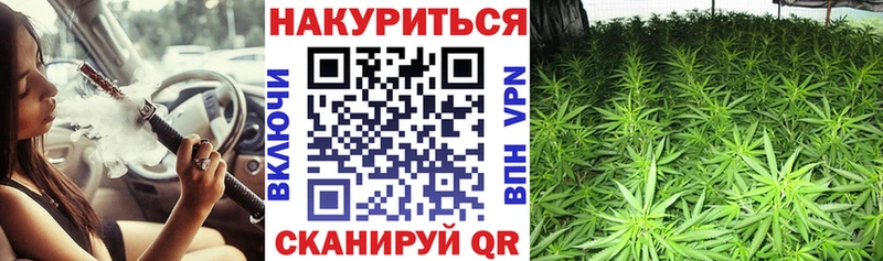 маркетплейс Telegram  Щёкино  Конопля White Widow 